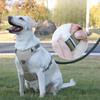 Dog Leash Explosion-proof  Large Dog Chest Strap Reflective Dog Leash Vest Type Pet Leash