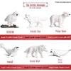 Cross-border Simulation Animal Suction Toy: Butterfly, Rooster, Ant, Frog, Sea Turtle, Mosquito Growth Cycle Models