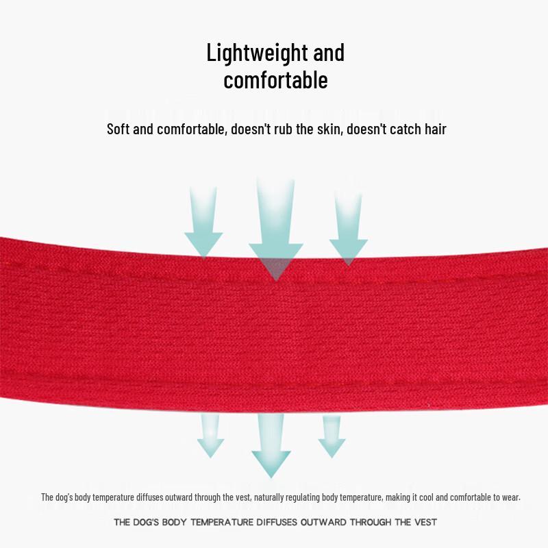 Comfortable Reflective Dog Harness and Leash Set