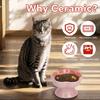 Heart-Shaped Ceramic Pet Water Bowl - Elevated, Splash-Proof, Moisture-Proof, Ideal for Cats and Dogs
