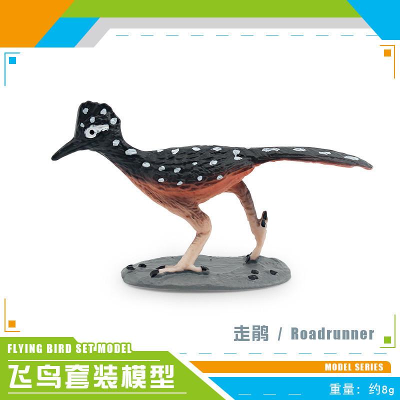 Exquisite Realistic Bird Models In Pvc Material Showcasing Colorful Parrots Owls And Songbirds