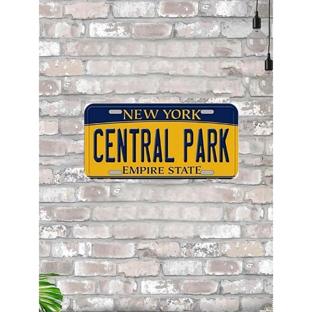 NÁS. registrační značka, USA. SPZ, kovová, 15x30 cm.