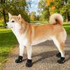 Hundkläder & Skor – Hundskor