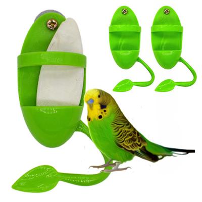 Feeding Container with Stand Holding Fruits Squid Bones Vegetables Cage Accessories