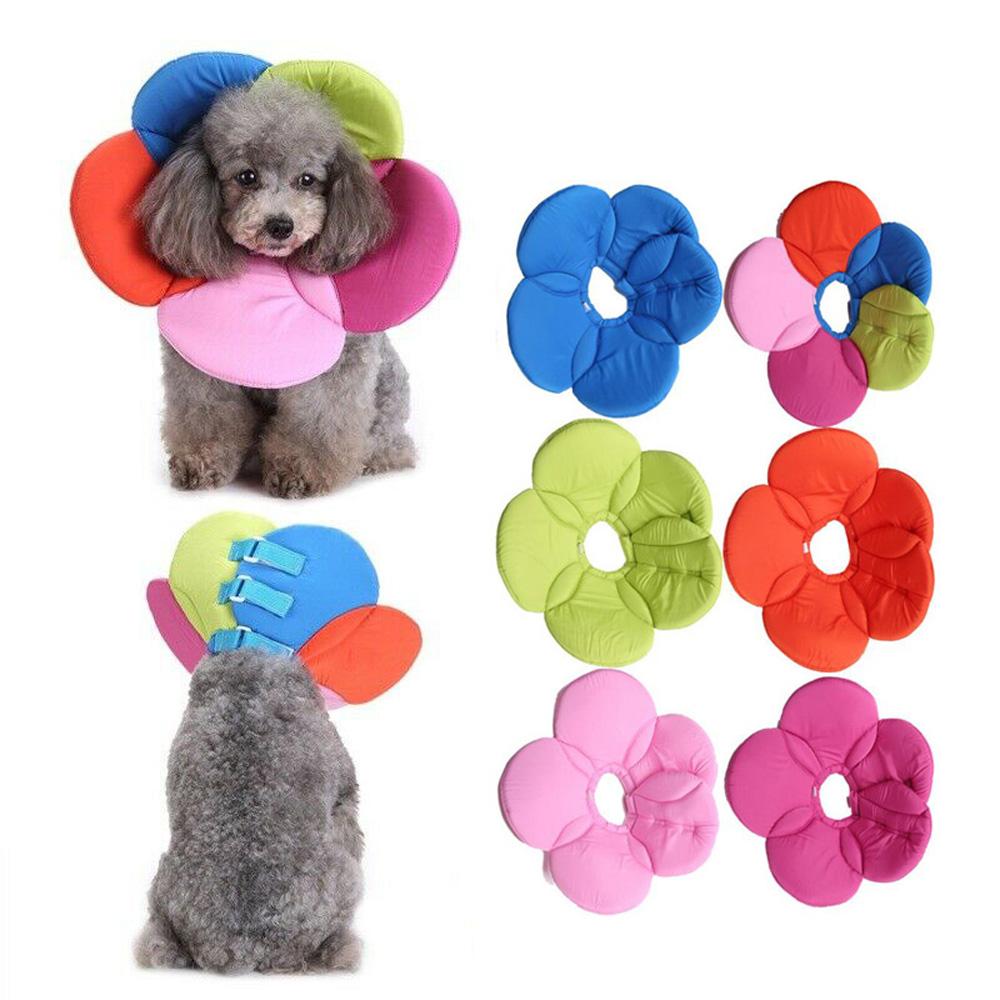 Surgery Wound Healing Elizabethan Collar Neck Cone Recovery Pets Protective Collar Protection Cover