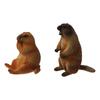 PVC Wild Animal Figurine Marmot Plastic Groundhog Ornament Realistic Animal Ornament  Office