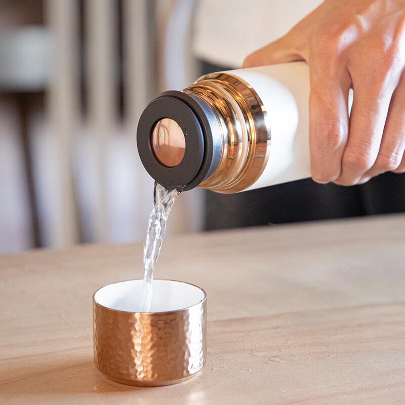 MEIISEO Titanium Thermal Tea Mug