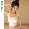 Women's Shockproof Yoga Crop Top with Built-in Bra for Fitness & Running, Outdoor Wear, Sexy Open Back, Tie-up Design