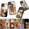 Handyhülle Tier Haustier Golden Retriever Hund für Xiaomi Poco F7 F6 F8 Ultra F5 X7 X6 X5 X3 NFC M7 M6 Pro C85 C75 C65 C71 C61 Hülle