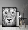 Picture Poster In a Frame 43x33 Cm Lion P1232