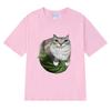 Funny Watermelon Cat Silly Cat Meme printed T Shirt 2025 New Men Women Oversized short sleeve T-shirts Unisex 100% Cotton Tops