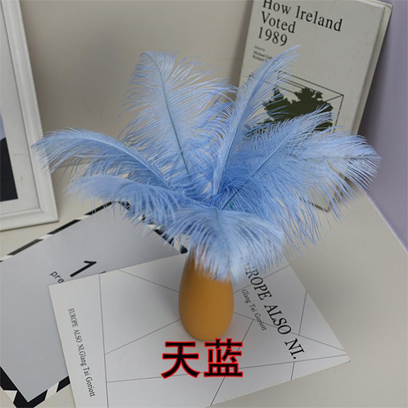 10 STÜCKE 20-25Cm Straußenfeder Bühnenauftritt Feder Handgefertigt DIY Schmuck Dekomaterial Straußenhaar