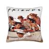 Federa per Cuscino Central Perk Friends TV Merch Stampa Federa Cuscino Copricuscini Decorazione Auto con Zip Multitaglia