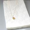 Women's Titanium Steel 18K Gold-Plated Round Disc Necklace - Smooth Mirror Finish
