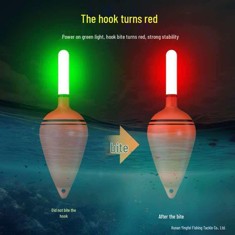 Luminous Color-Changing Big Belly Float Set for Carp Sea Fishing