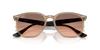 Sunglasses 0RB4306F TORTLEDOVE 54 Ray-Ban