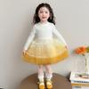 Spring Girls' Cat Denim Princess Dress Set - Baby Puffy Skirt Two-Piece