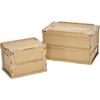 TRUSCO Thin Folding with Locking LS Storage Container, 50L, Lid, Color, TR-C50B-LS, Case/Box
