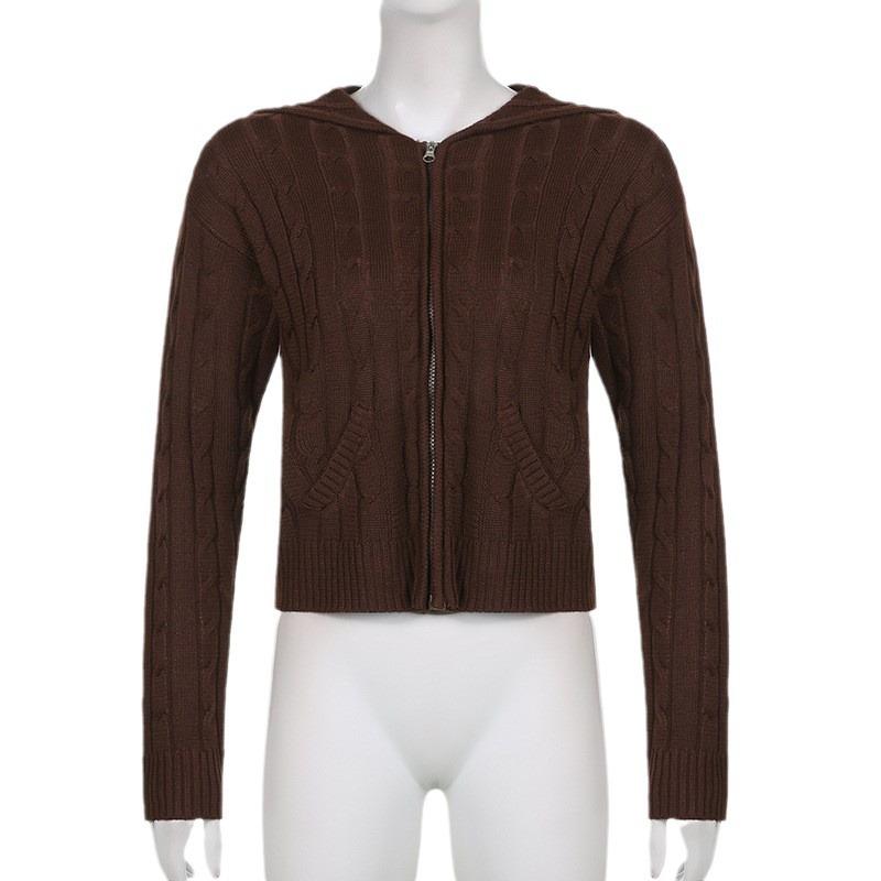 Cárdigan con capucha y bolsillos con cremallera y cálido para otoño e invierno, chaqueta de color liso, top corto con temperamento para mujer