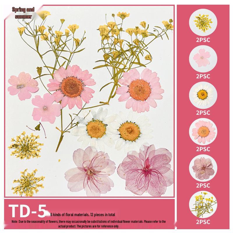 Handmade Pressed Flower Bookmark and Epoxy Sticker Pack with Real Leaf and Plant Specimens for DIY Face Makeup.