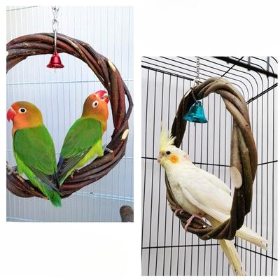 Papegaai Speelgoed Ring, Vogel Schommel, Geweven Appelboomtak Ring, Vogel Zitstok, Rotan Ring, Knaagspeelgoed Vogelkooi