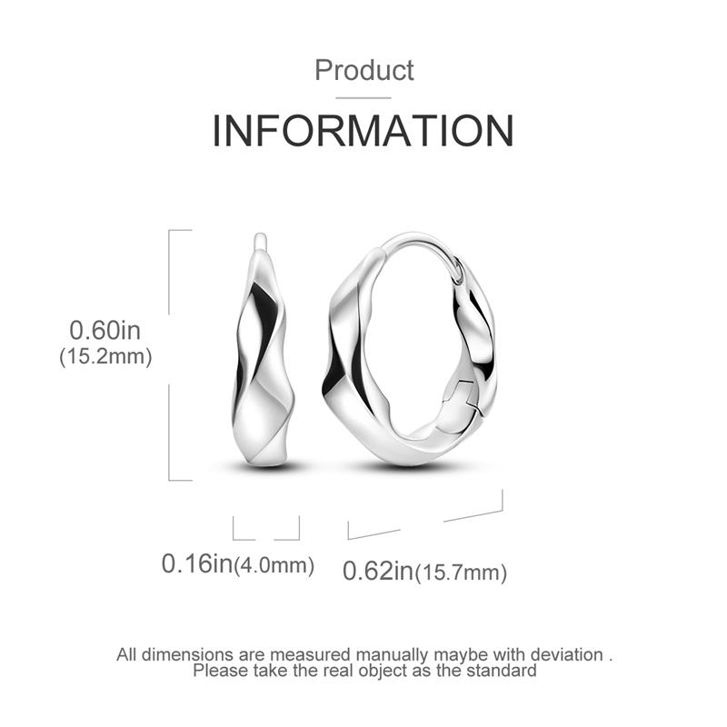 2024 Earrings For Women 925 Sterling Silver Colorful Double Hoop Earrings Fashion Birthday Party Wedding Engagement Jewelry