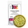 Fasola Mung 100g - nasiona na kiełki kiełkownica