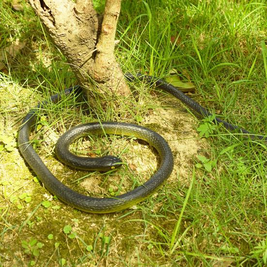 1 Set 120CM Snake Prank Toy with 100M Clear Line Clip PVC Simulated Colorful Snake On A Rope Teasing Friends Tricky Props Party Gag Gift