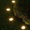 4 Pack Paw Print Solar Lights Solar Lamp in The Shape of Pet's Footprint for Garden Courtyard Terrace Balcony Garden and Lawn