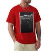 sleeve tee plus sizes boys animal print funnys heavy weight t shirts for Arctic Light T-Shirt quick-drying vintage Short