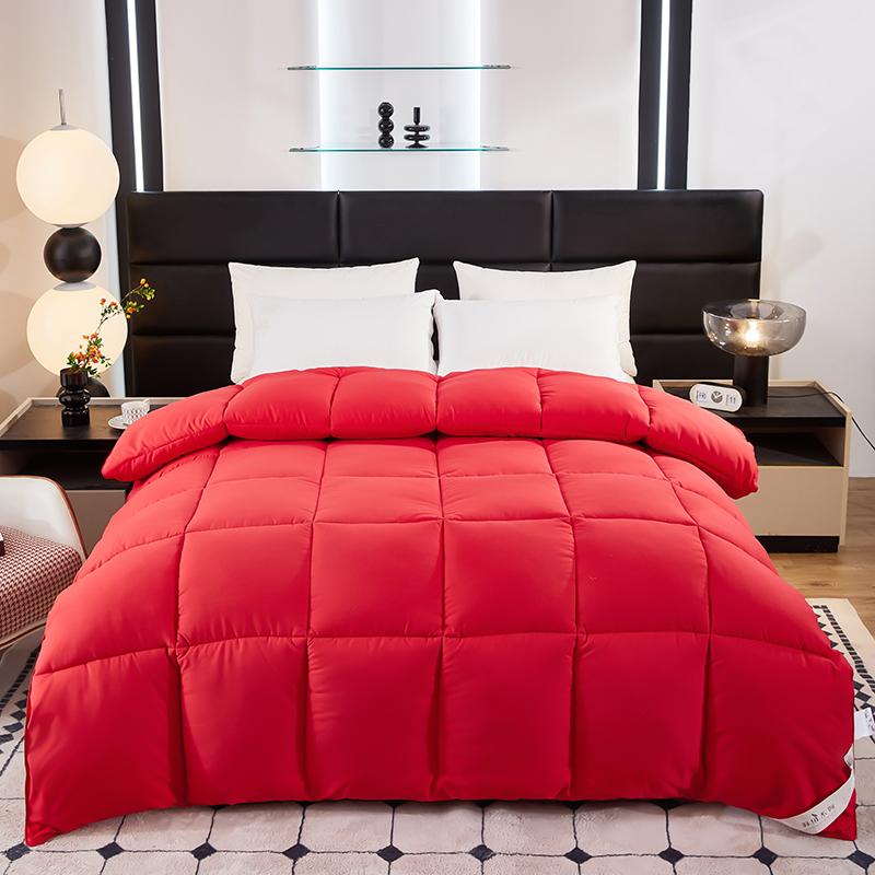 Hotel Style Soy Fibre Goose Down Duvet Bed Velvet Comforter Soft Winter Duvet Very Warm  Quilts Blanket Hotel