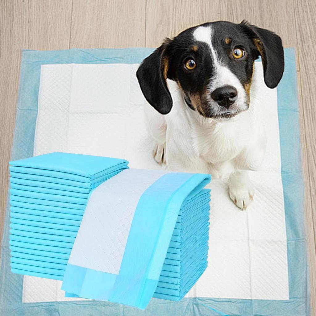 Dog Pads Potty Pads For Dogs 100-Count Leak-Proof Quick-Dry Surfaces Potty Training Housebreaking Pet Supplies For Indoor