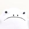 Ricky Rain Frog Cartoon Frog Doll Multi Color Pillow Soft Plush Toy Solitary