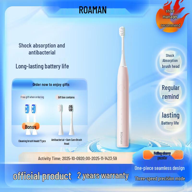 ROAMAN T10X-H-P02 Sonic Electric Toothbrush CN Plug (adapter Included)