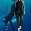 Surfen en duiken – Wetsuits