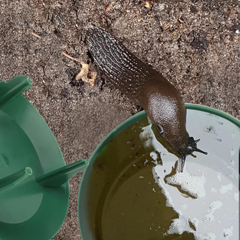 Κήπος Αγρόκτημα Προστατευτικό Slug House Παράσιτα Απόρριψης Ζωικών Παρασίτων Απωθητής Παρασίτων Παγίδα Σαλιγκαριών Catcher Gintrap Εργαλεία Κλουβί Σαλιγκαριών Φιλικό προς το Περιβάλλον