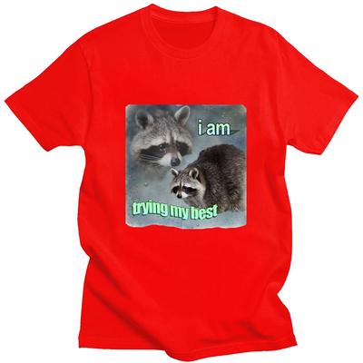 I Am Trying My Best Raccoon Meme T Shirt Funny Print Men Women T-shirt Loose Leisure Fashion Short Sleeve Cotton Cozy T Shirts