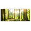 Canvas Print, Sun Rays In the Forest