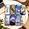 Telefon kapları – Smartphone Bumper Kılıflar