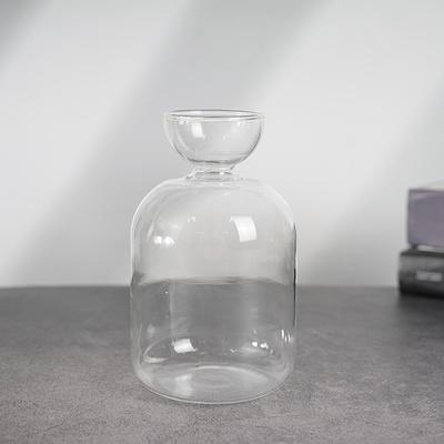 Avocado Seed Starter Vase Transparent Glass Vase Vase For Growing Plant Glass Seed Growing Kit For Gardening Lovers
