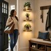 Built-in LED Lights LED Light Shelf Wall Mounted Display Rack Storage Shelf  Bedroom Decor