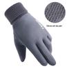 Men's Suede Winter Warm Gloves