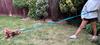Dog Leash with Shock Absorber 280cm TURQUOISE Adjustable Sports