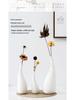 Modern Feng Shui Ceramic Flower Vase for Home Decor