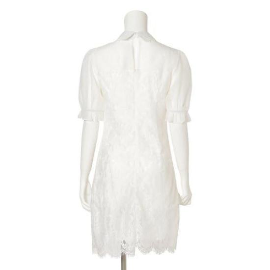 GRAXIA Cabaret Mini Bareback Tight Perfect for Hostess and Short Balloon Floral Eyelash Size Small Dress, Dress, Dress, Dress, Hostesses, Clubs,