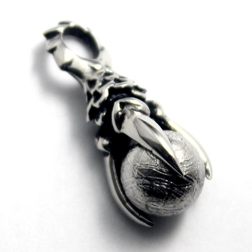 

Gibeon Meteorite Dragon Claw Pendant Pendant Top Stainless Steel