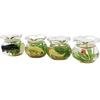 Fish Tank Toy Miniature Ornaments Resin Dollhouse Fish Tank Scene Accessories