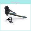 Realistic Bird Animal Model Pvc Material Crow Children's Early Education Plastic Toy Decoration Static Model