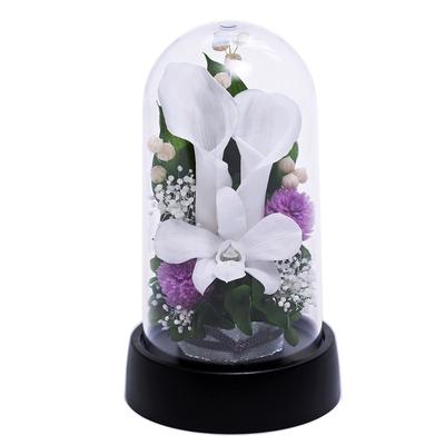 Art Four Seasons Mini Color Mini Dome White Preserved Flowers