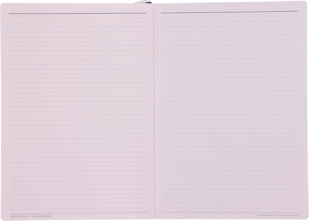 Franklin Planner Organizer, One Page Per Day, PVC, Nuanced Colors, Starting April 2025, B6, Gray, 86489